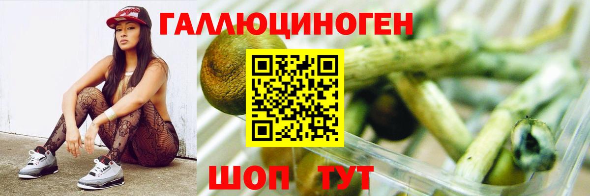 Галлюциногенные грибы GOLDEN TEACHER  Псилоцибиновые грибы мицелий  Евпатория  Вход с VPN 